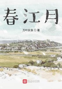 pixloop破解版