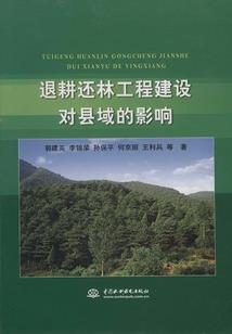 王者荣耀钻石英雄推荐