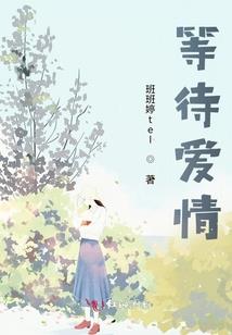 夜精灵英雄