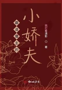英雄联盟作弊器