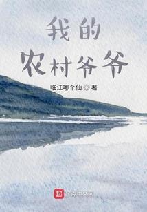 pd破解版安装