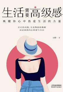 我的世界飞机掉落空岛上