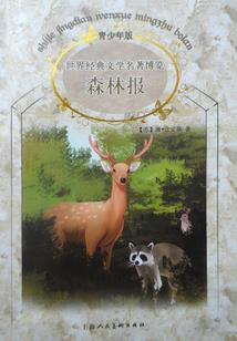 大唐无双职业套装