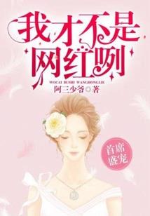 术士6.0属性