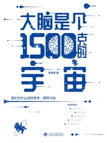 我的世界乐高制作飞龙