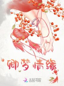 荒野之息物品翻译