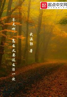 武极过度装备