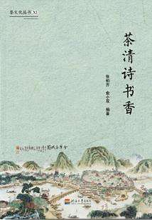 梦幻西游公主摄影效果