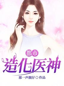 梦幻西游86级宠物装备