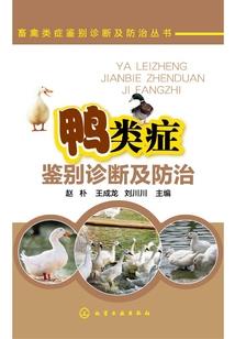 红领巾破解版