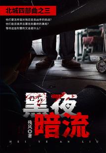 停车达人4下载破解版