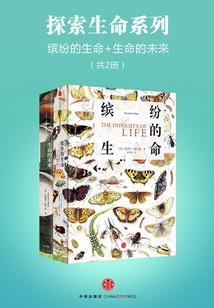 魔龙世界哪个职业厉害