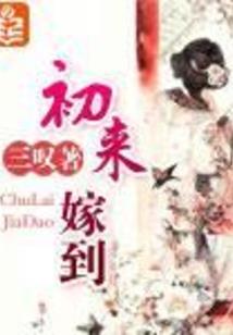 天刀 属性成长