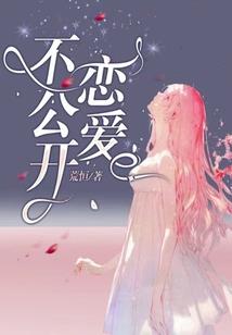 荒野之息ns衣服