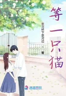 uspycam破解版