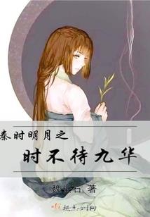 奶块装备伤害