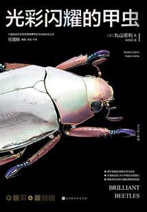 梦幻西游充钱的视频教程