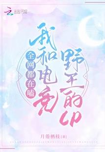 尼尔长发mod