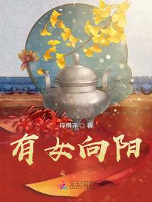 dnf女机械双狂风装备