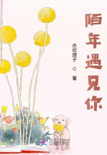 王者荣耀开迅游