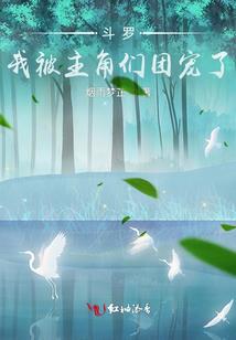 王牌战士暴击装备