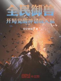魔兽世界圆肉有什么用