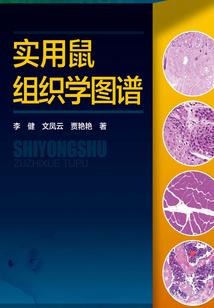 手游足球经理