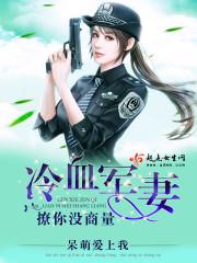 sf传奇单职业