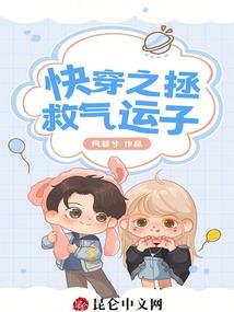 新维加斯枪械mod