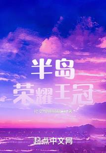 黑白机经典游戏大全