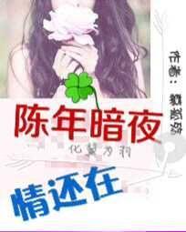 四人大战快速下载破解版