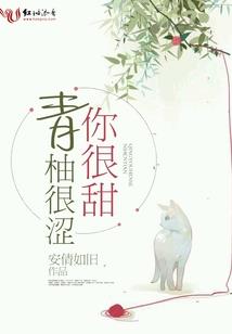 停车大师破解版.