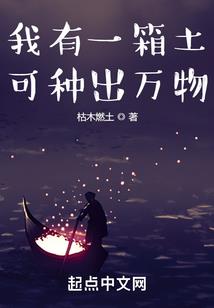 ps4 dns战地4
