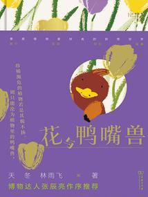 汕尾旅游景点攻略