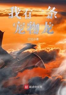 法斗皮肤病消炎针