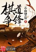塞尔达荒野之息速度装备