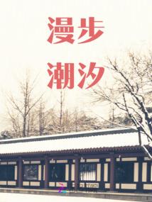 雷丁光辉攻略