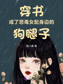 暗黑MOD盒子