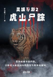 我的世界最稀世的枪指令