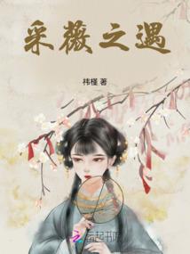 魔兽世界包包哪个好