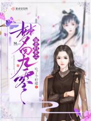 伽蓝装备熔锻后