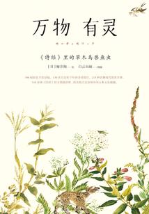 西游斗神破解版免广告版
