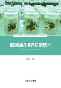 幼儿园关于职业的美术