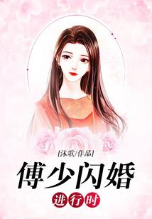 梦幻西游迷版本