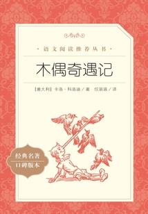 沙龙五行属性是什么意思