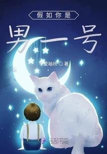 梦幻西游手游 mac