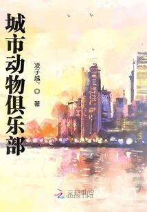 墨子一个皮肤多少钱