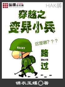 海报属性