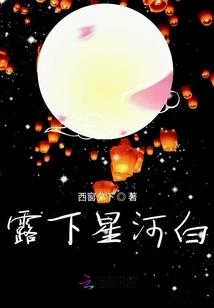 avo属性