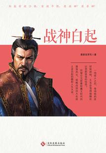 姮妃的皮肤